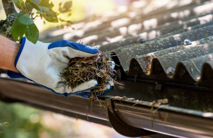Reliable Gutter Cleaning Services Near Me Dunwoody Georgia