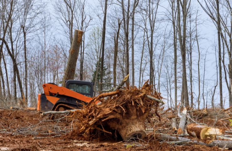 Land & Lot Clearing Services Atlanta GA