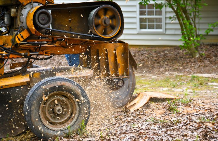 Stump Grinding & Removal Service Atlanta GA