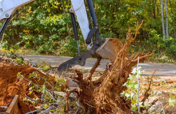 Tree Removal Atlanta GA